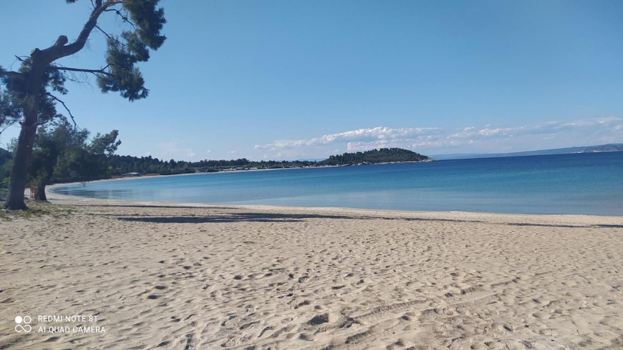 Blue House Βίλα Παλιούρι Εξωτερικό φωτογραφία