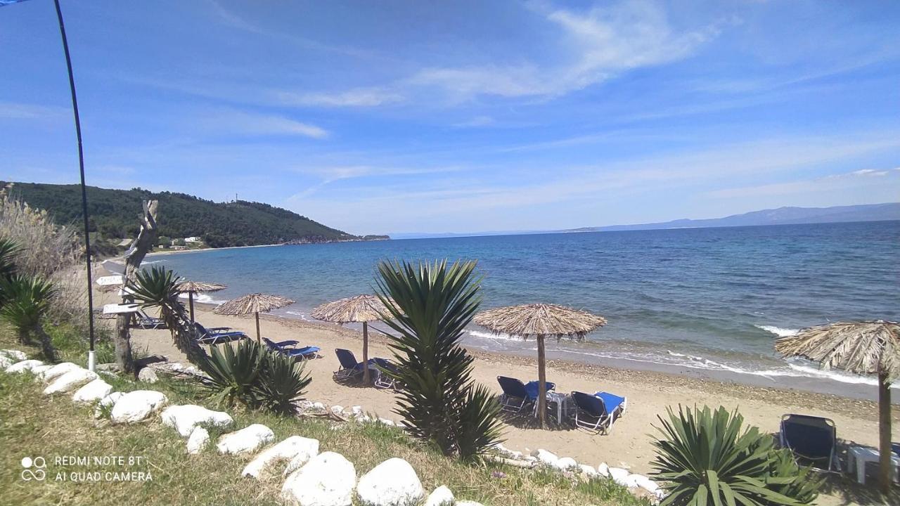 Blue House Βίλα Παλιούρι Εξωτερικό φωτογραφία